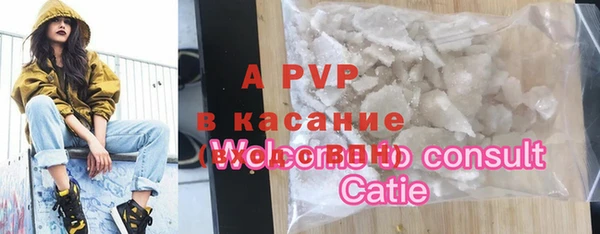дживик Белокуриха