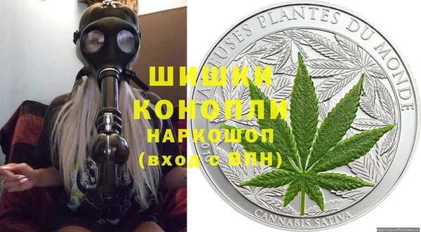 дживик Белокуриха