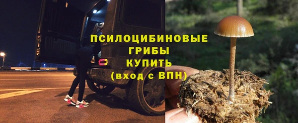 дживик Белокуриха