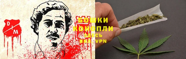 дживик Белокуриха