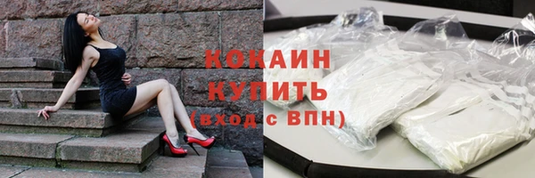 дживик Белокуриха