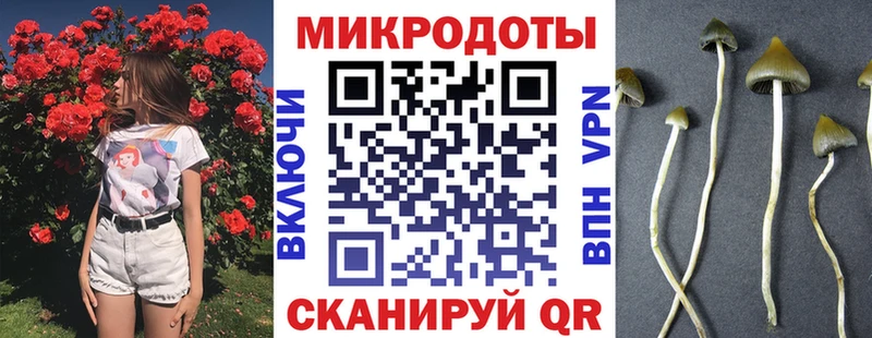 сайты даркнета официальный сайт  цены   Можга  Псилоцибиновые грибы мицелий 